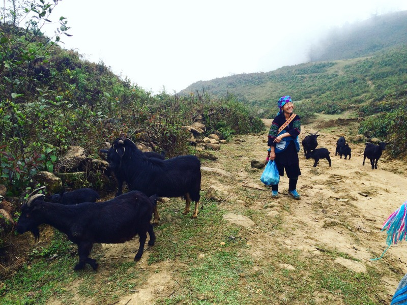 Article : Trois jours chez les H’mong de Sapa